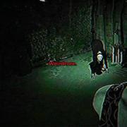 سفر به دنیای عجیب فضاهای لمینال و وایرادکور