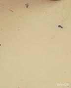 روز مادر که بهترین روز دنیا هست 