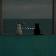 آهنگ غمگین و عاشقانه حامم - عشق من و تو اشتباهست (همراه با متن)