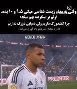 میم طنز: چرا کفشدوزک داریم ولی دمپایی دوزک نداریم؟