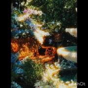 آرامش در باغ گل: لحظاتی دلنشین با طبیعت و موسیقی