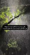 حس دلتنگی برای رفیق قدیمی در یک شب بارونی