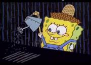 آیا از باب اسفنجی باهوش تر هم هست؟؟