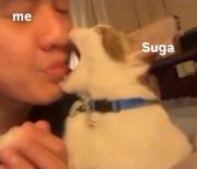 🐱...............................