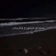 حس دلتنگی در ساحل دریای شب