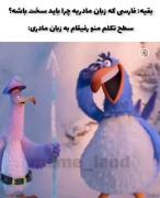 طنز: وقتی زبان فارسی، زبان مادری هم سخت میشه!