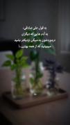 نقل قول زیبا و تأمل‌برانگیز از علی صادقی