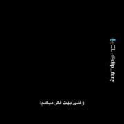 وقتی گربه عاشق میشه و ویار میکنه!