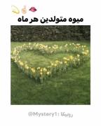 میوه ماه تولد شما کدام است؟ طالع بینی جالب میوه‌ها