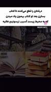 طنز محیط زیستی: درختان، کتاب‌ها و پارادوکس حفاظت از طبیعت