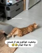 بفرس برا آبجیت / طنزـ. ـــــ... 