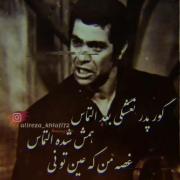 ..............................