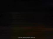 …………………………………………………………………………….