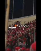 عشق به پرسپولیس: لحظات پرشور هواداری در استادیوم آزادی