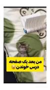 خستگی بعد از درس خوندن به روایت تصویر گربه!