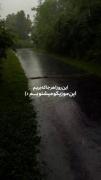 موزیک ویدیو بارانی: دلتنگی در جاده‌ای خیس و سبز