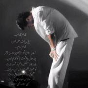 قدم قدم پابه پات همه شهرو قدم زدم