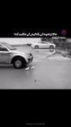لحظه دلهره‌آور نجات معجزه‌آسای کبوتر از خطر مرگ