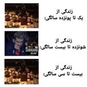 مراحل مختلف زندگی در یک نگاه