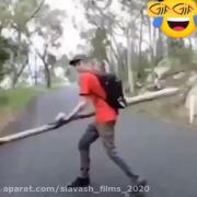 از‌حوادث‌خنده‌دار‌جهان:🤣......