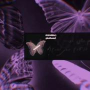 آهنگ عاشقانه مسکن قلبم | کلیپ احساسی با متن آهنگ و پروانه