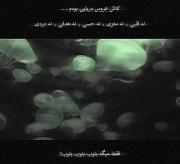 کاش عروس دریایی بودم: دلنوشته‌ای با انیمیشن آرامش‌بخش