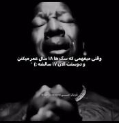 وقتی میفهمی سگ ها ۱۸ سال عمر میکنن! 😂 کلیپ طنز