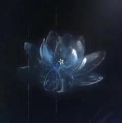 *＊✿❀　❀✿＊* ریتمش آرامش بخش عالی 