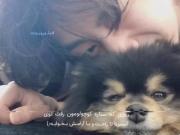 ادیت غمگین برای یونتان، ستاره کوچک تهیونگ