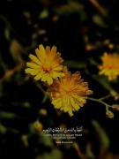 🤍✨‌‌‌‌‌‌‌‌‌‌‌‌‌‌‌‌‌‌‌‌‌‌‌‌‌‌‌‌