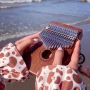 نوازندگی کالیمبا در ساحل: موسیقی آرامش‌بخش