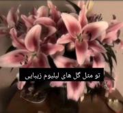 و تو مثل گل های لیلیوم..........