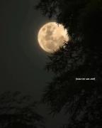 ماه پشت ابر نمی‌ماند | انتظار ظهور امام زمان (عج)